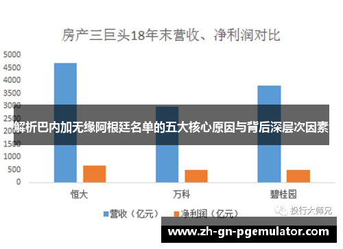 解析巴内加无缘阿根廷名单的五大核心原因与背后深层次因素