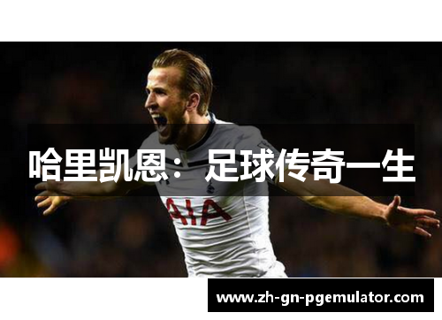 哈里凯恩：足球传奇一生