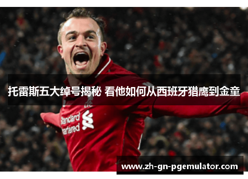 托雷斯五大绰号揭秘 看他如何从西班牙猎鹰到金童