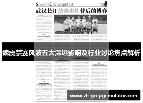 魏震禁赛风波五大深远影响及行业讨论焦点解析