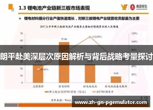 朗平赴美深层次原因解析与背后战略考量探讨