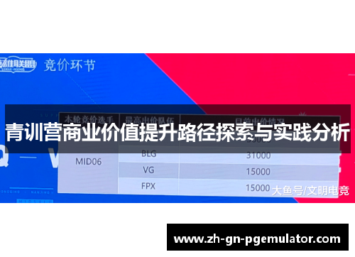 青训营商业价值提升路径探索与实践分析 青训营商业价值提升路径探索与实践分析