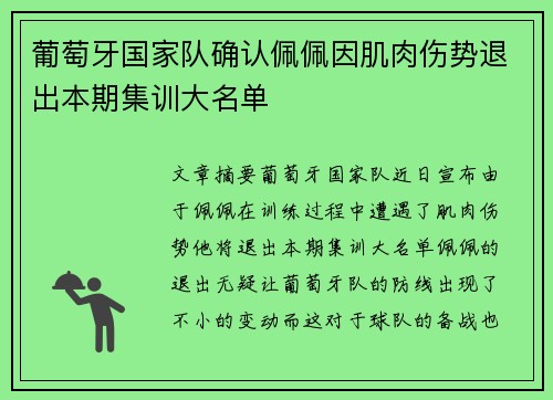 葡萄牙国家队确认佩佩因肌肉伤势退出本期集训大名单