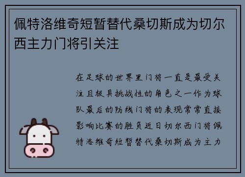 佩特洛维奇短暂替代桑切斯成为切尔西主力门将引关注