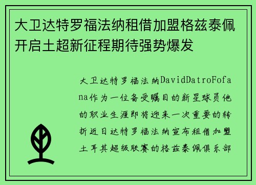 大卫达特罗福法纳租借加盟格兹泰佩开启土超新征程期待强势爆发
