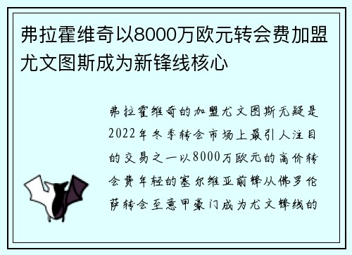 弗拉霍维奇以8000万欧元转会费加盟尤文图斯成为新锋线核心
