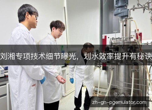 刘湘专项技术细节曝光，划水效率提升有秘诀